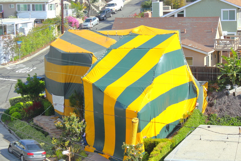 Nieghborhood House Being Fumigated
