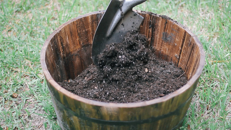 Filling a barrel planter with potting soil