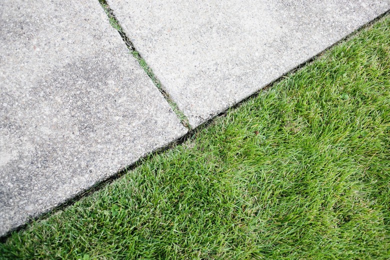 Sidewalk and grass
