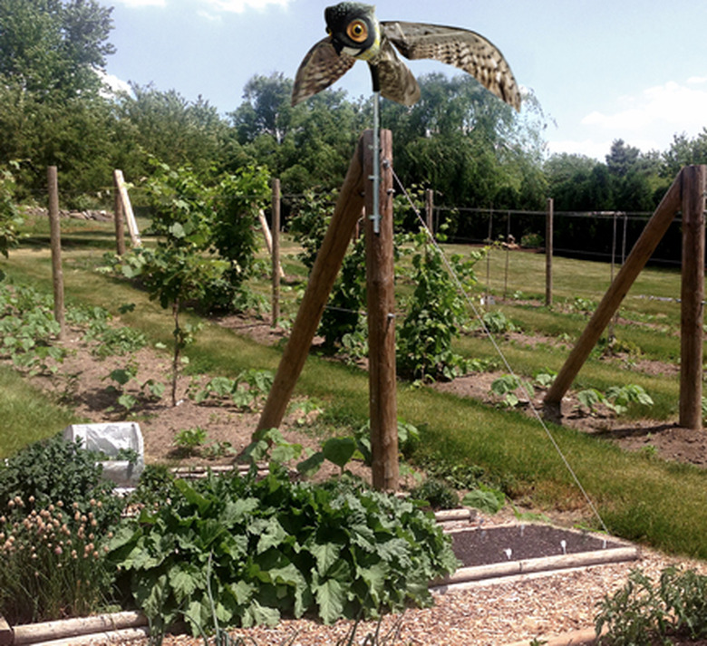 Owl decoy with widespread wings