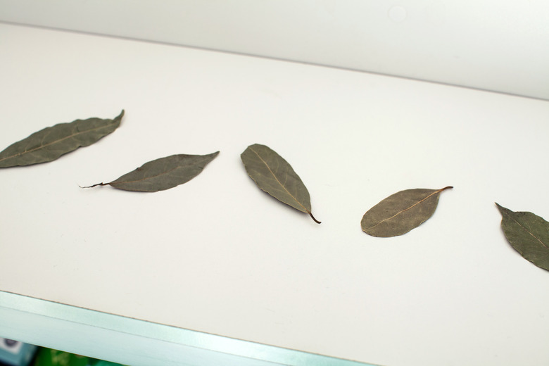 Bay leaves in a pantry shelf.