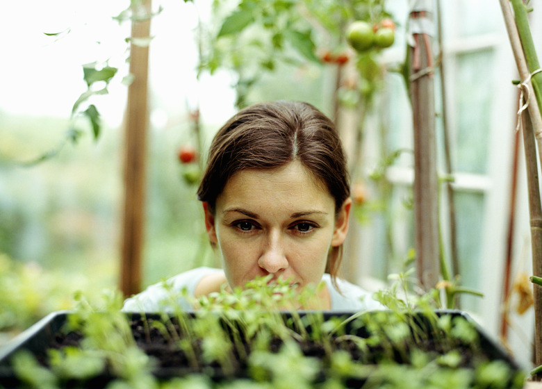 Young woman looking at plants in greenhouse