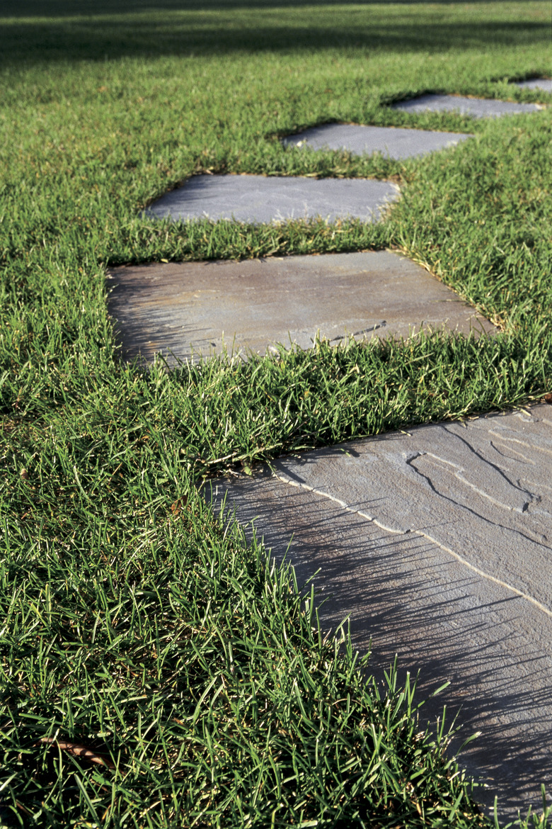 Grass with stepping stones