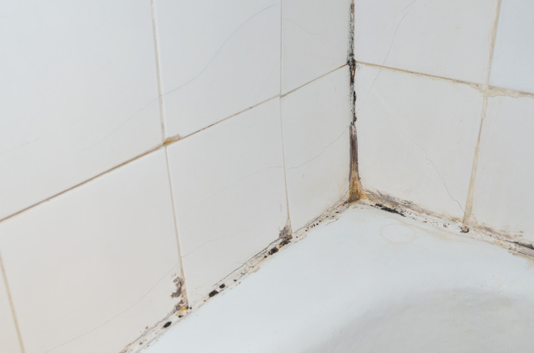 Mold in bathroom