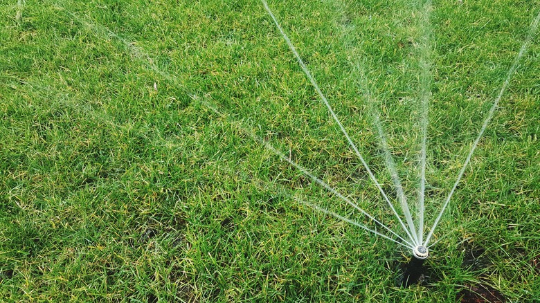 High Angle View Of Sprinkler On Grassy Field
