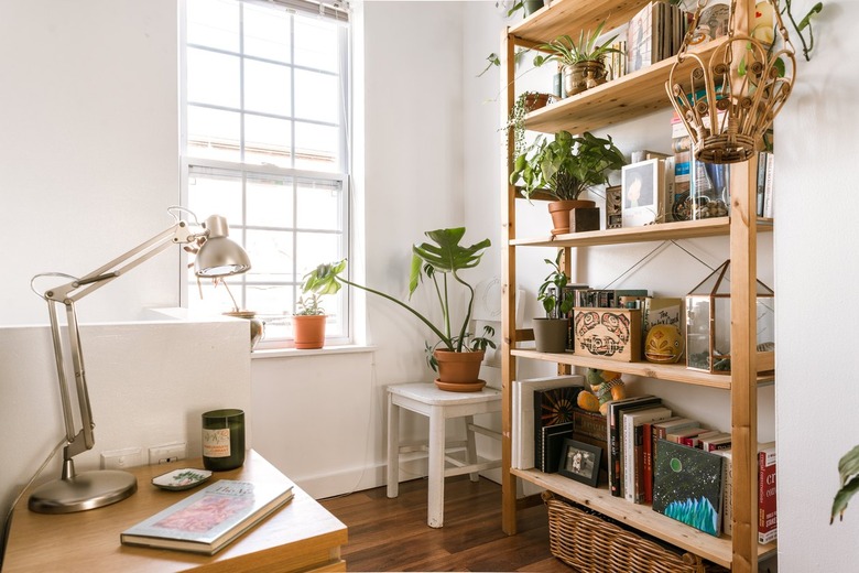 A wood bookcase with houseplants