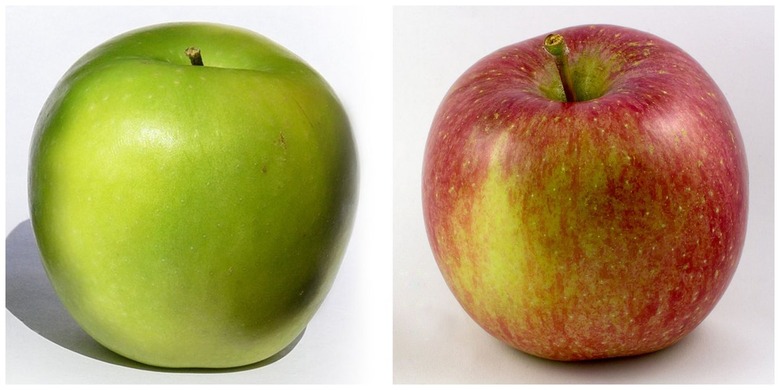 A green Granny Smith apple and red Fuji apple.