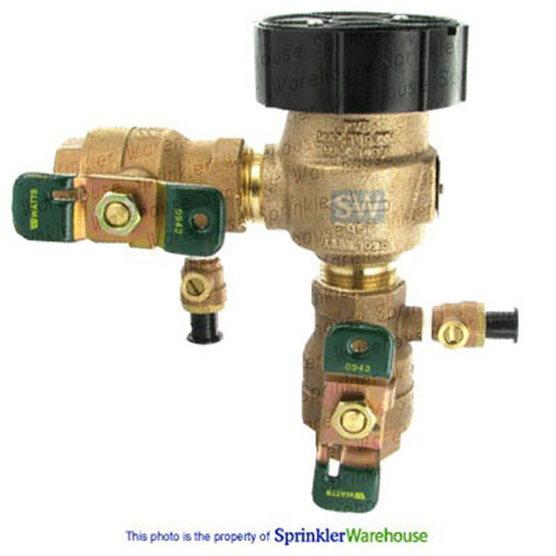 Sprinkler system backflow preventer.