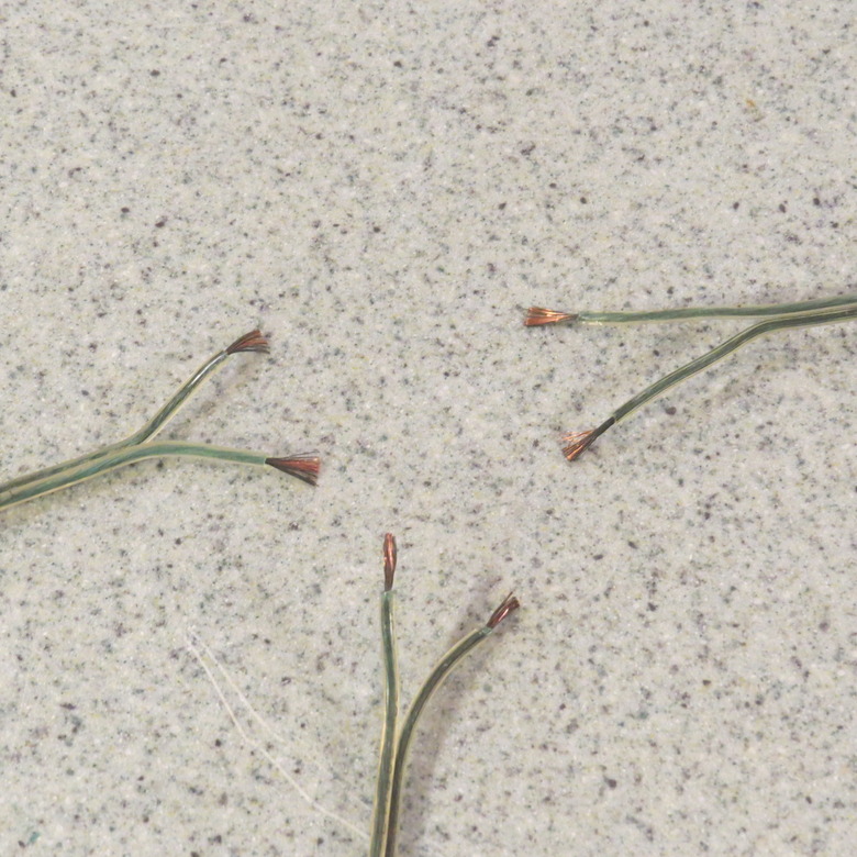 Lamp wire with ends stripped.