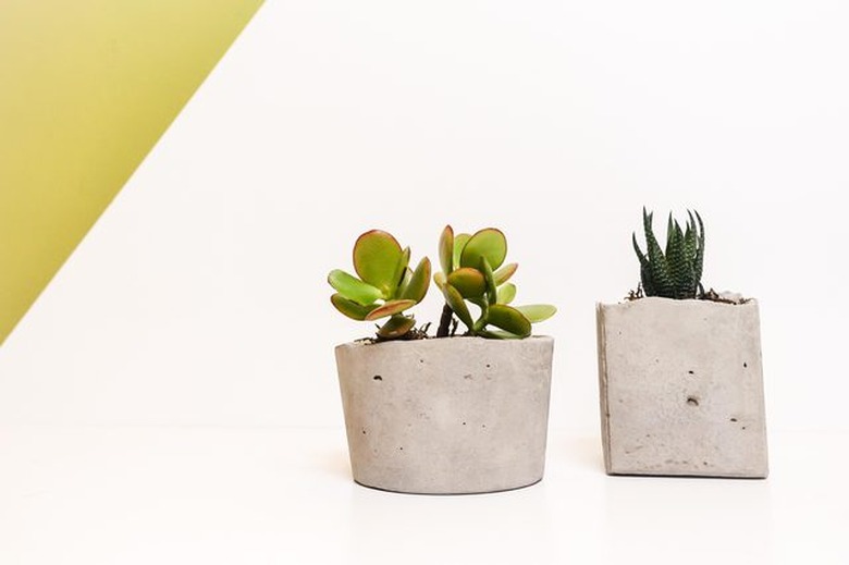 DIY concrete succulent planters perfect for windowsills