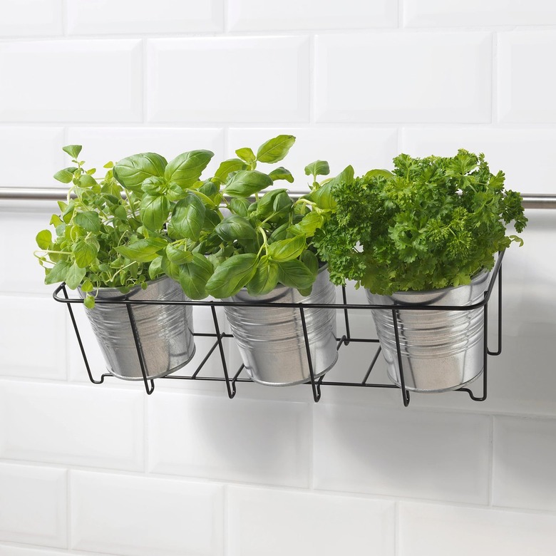 Svartpeppar Plant Pot Holder
