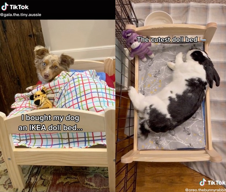 Ikea dog bed hack deals