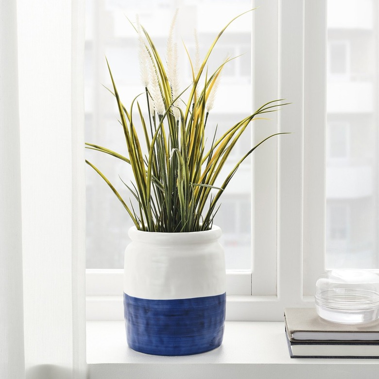 blue and white vase with green plant