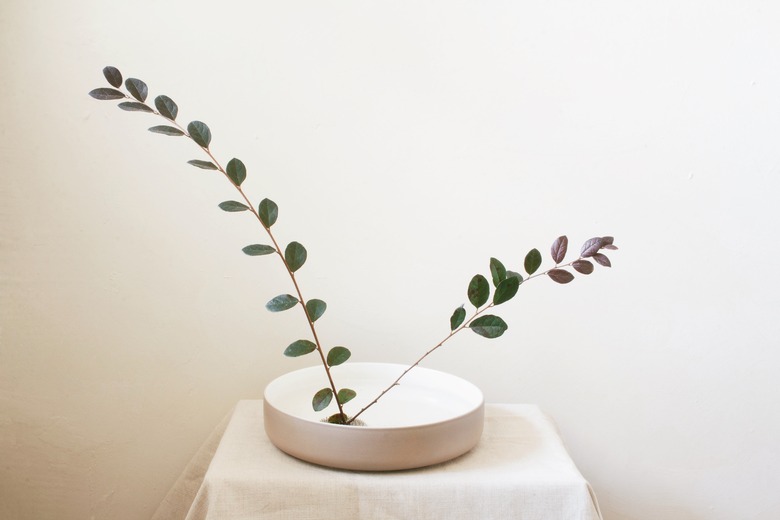 two long stems of leaves inserted into flower frog inside shallow bowl