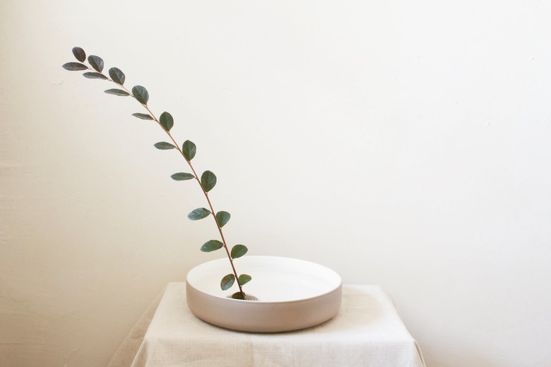 long stem of leaves inserted into flower frog inside shallow bowl