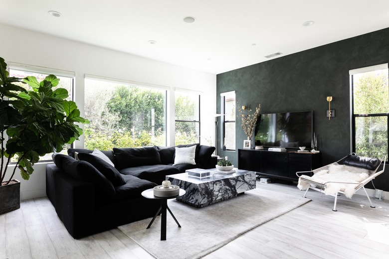 Fiddle-leaf fig plant in black and white modern living room