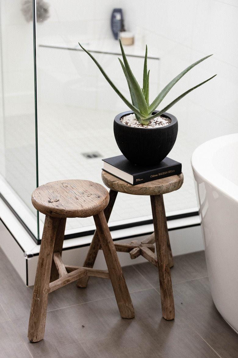 Aloe Vera plant in bathroom on wood stool