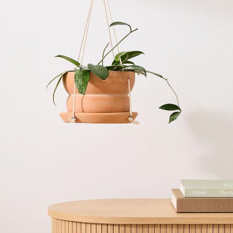 best places to buy indoor plant accessories West Elm