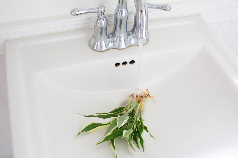 Rinsing gel off plant