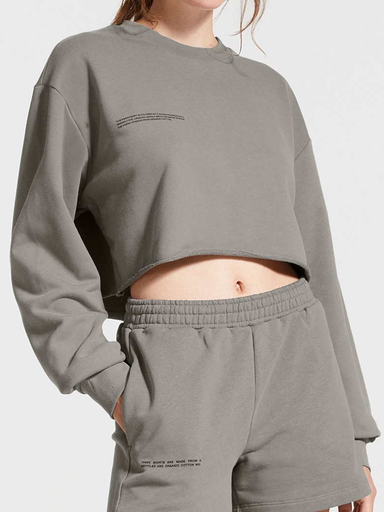 pangaia shorts and cropped sweatshirt in grey