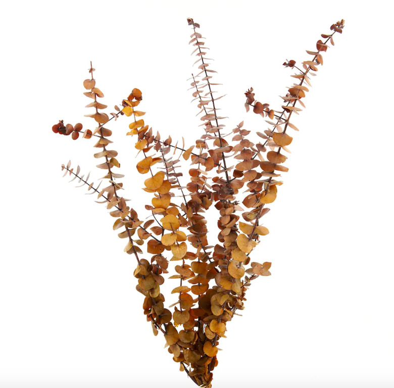 Michaels Eucalyptus Bunch