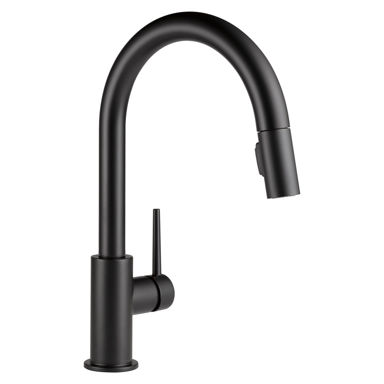 Matte black kitchen faucet