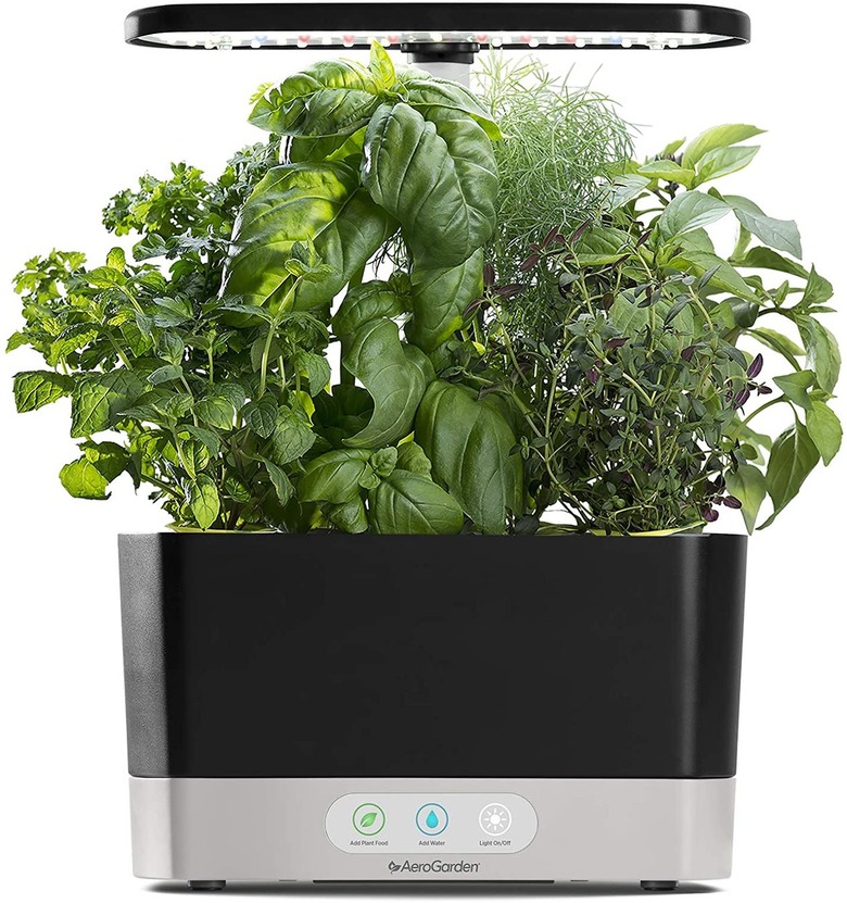 indoor garden planter with herbs