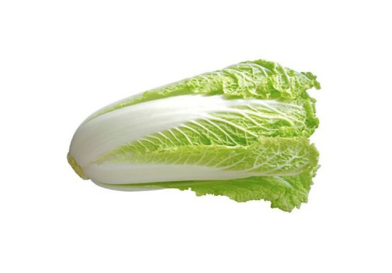 Napa cabbage