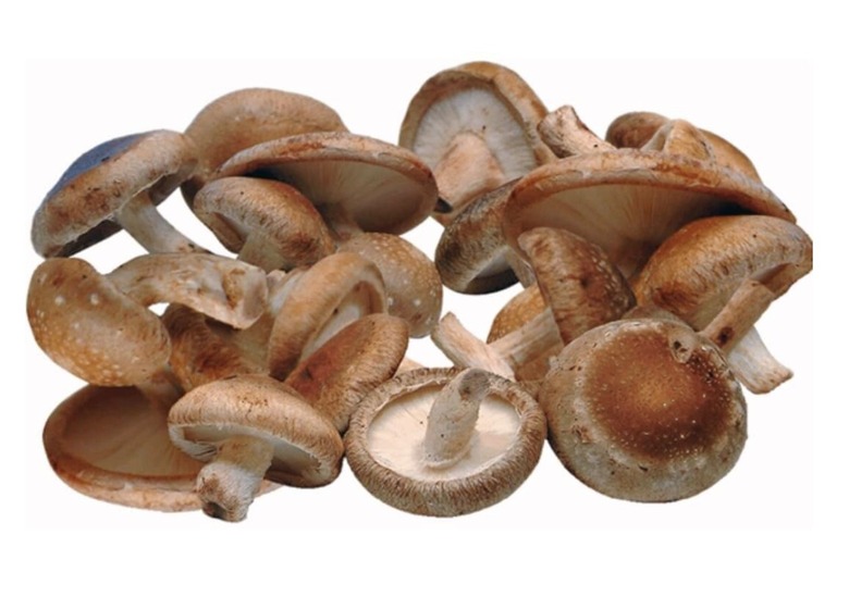 shiitake mushrooms