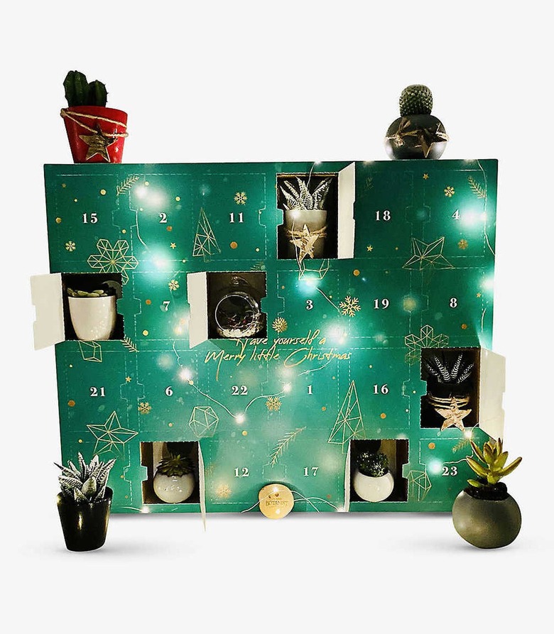 Botanist advent calendar