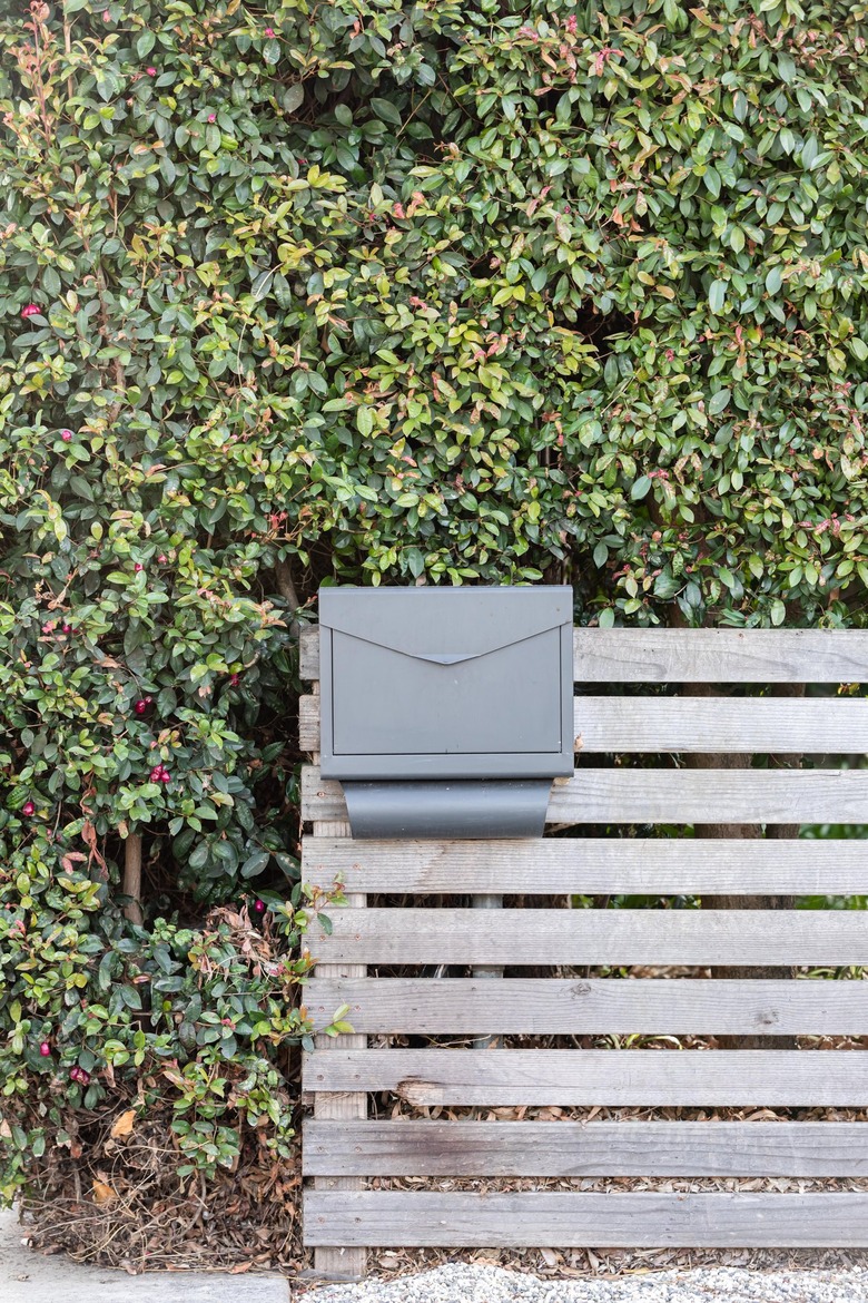 Wood fence with a gray mailbox attached to it and a bush