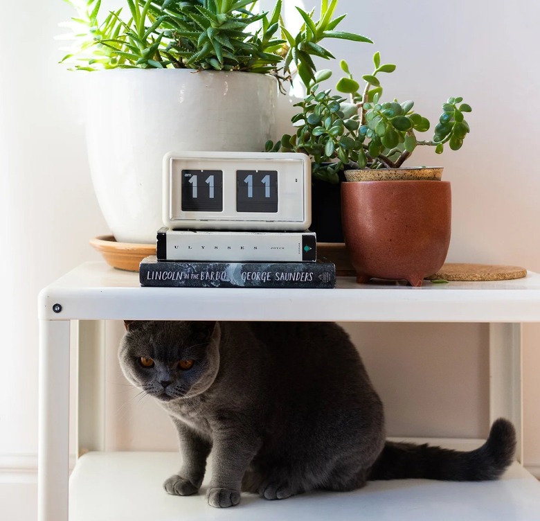 Letterfolk Midcentury Flip Clock