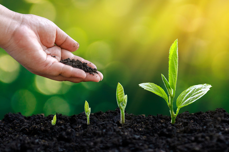 Tea seed meal manufacturer Tea seed meal manufacturer