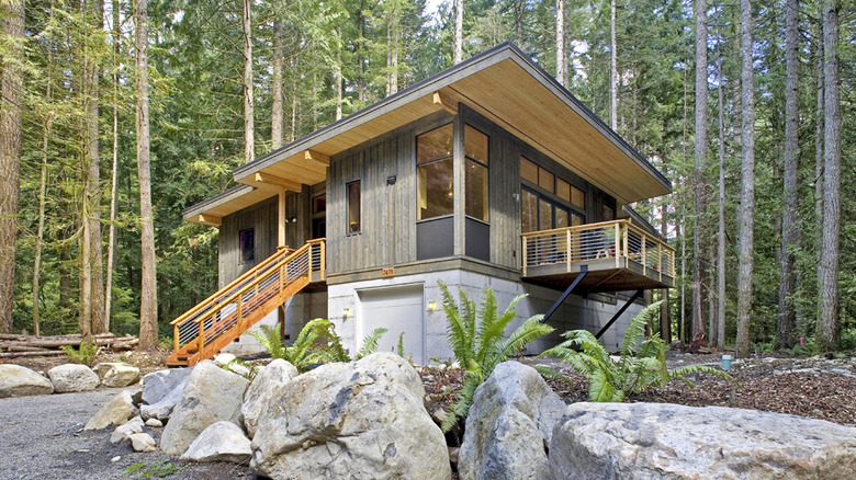 Cabin-inspired modern prefab home with flat roof in pine trees