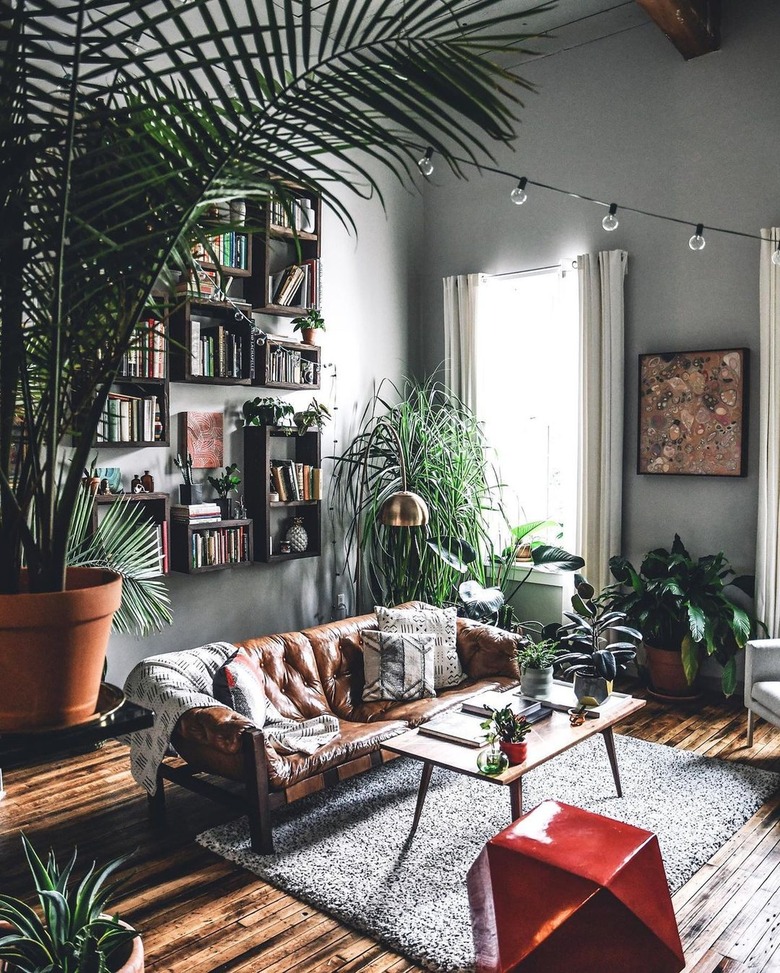 Living room with abundant plants