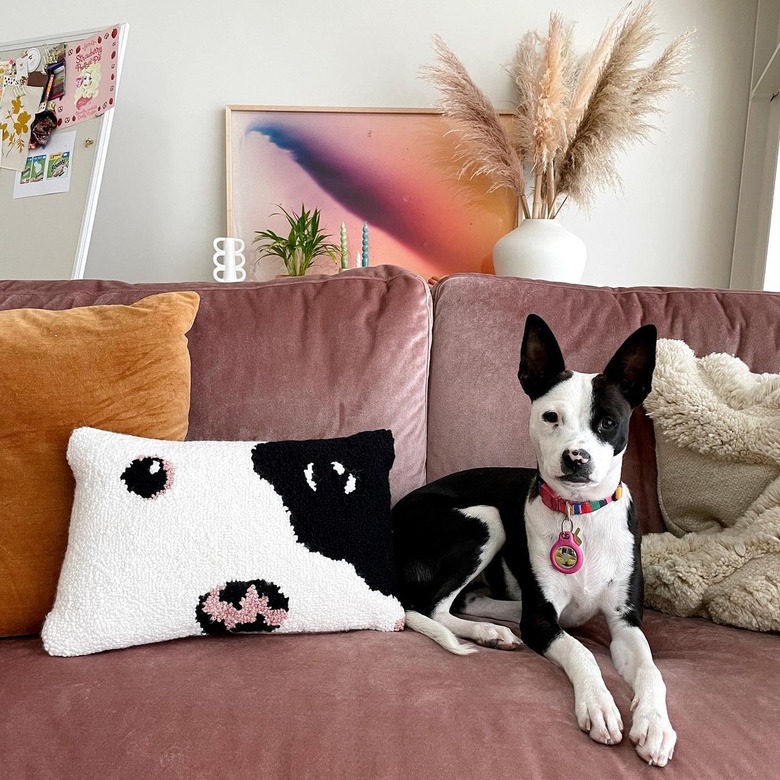 Living room with blush pink sofa