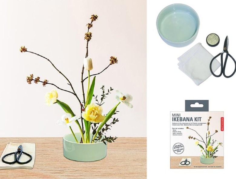 Kikkerland Mini Ikebana Kit