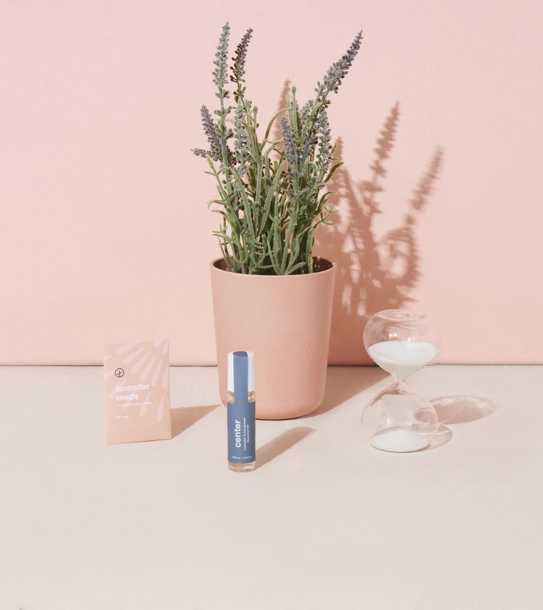 Modern Sprout Seek Peace Mindful Meditation Kit