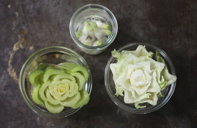 How to regrow kitchen scraps