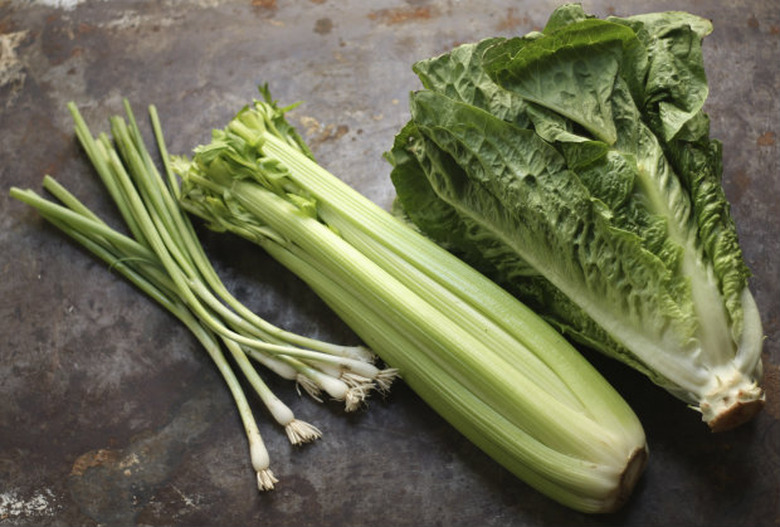 Onions Celery and Romaine Lettuce