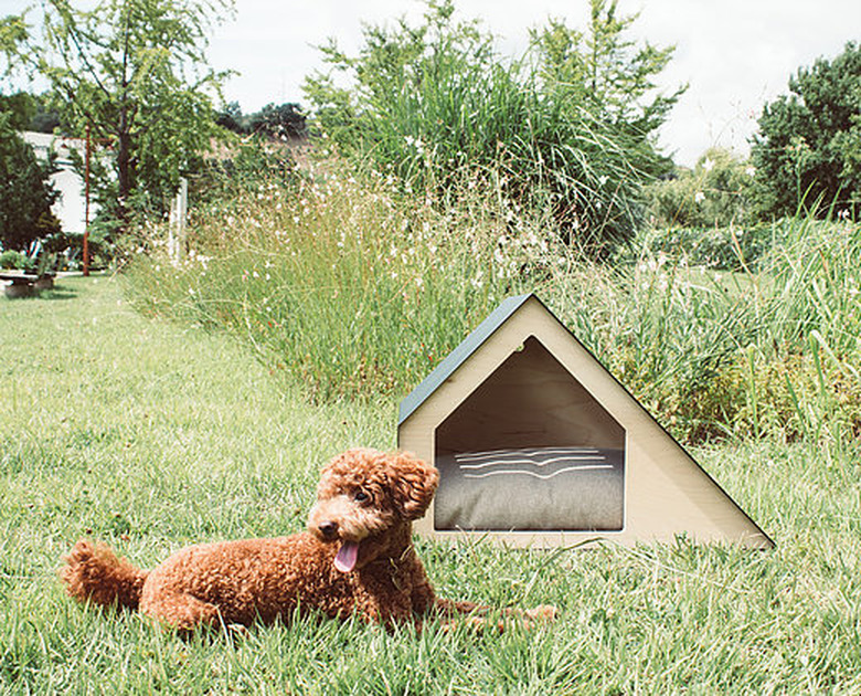 minimalistic dog house