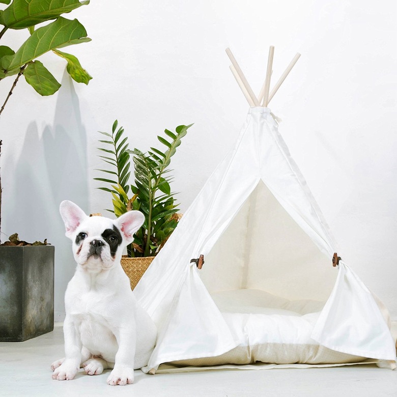 pet teepee