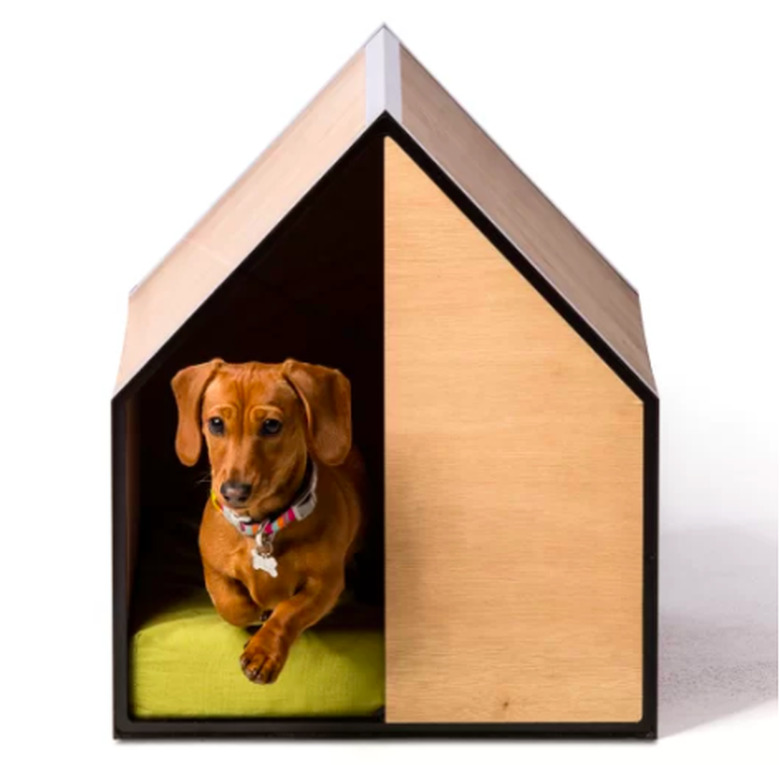 modern dog house