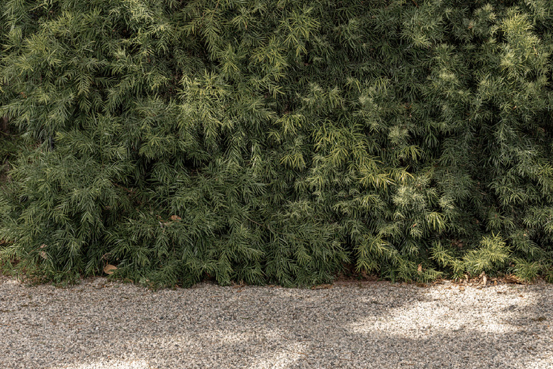 outdoor at-home cafe