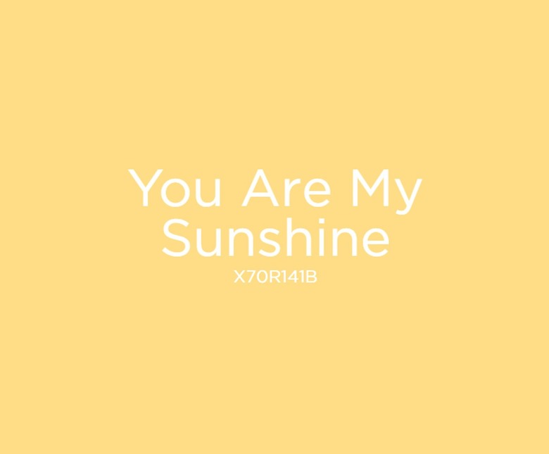 Valspar You Are My Sunshine paint