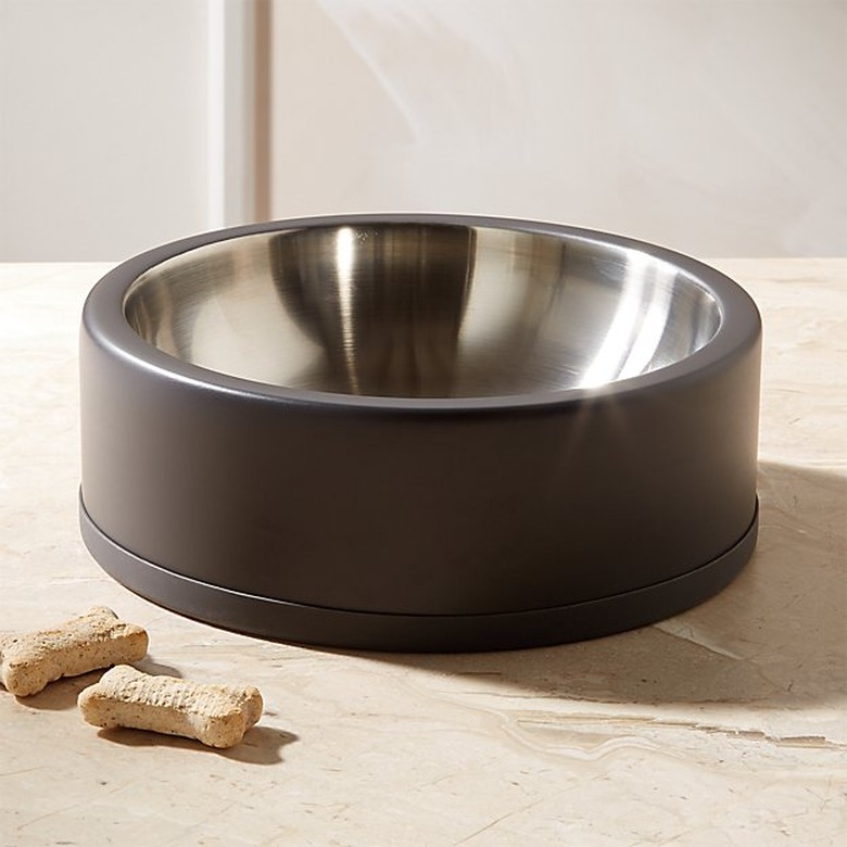 black dog bowl