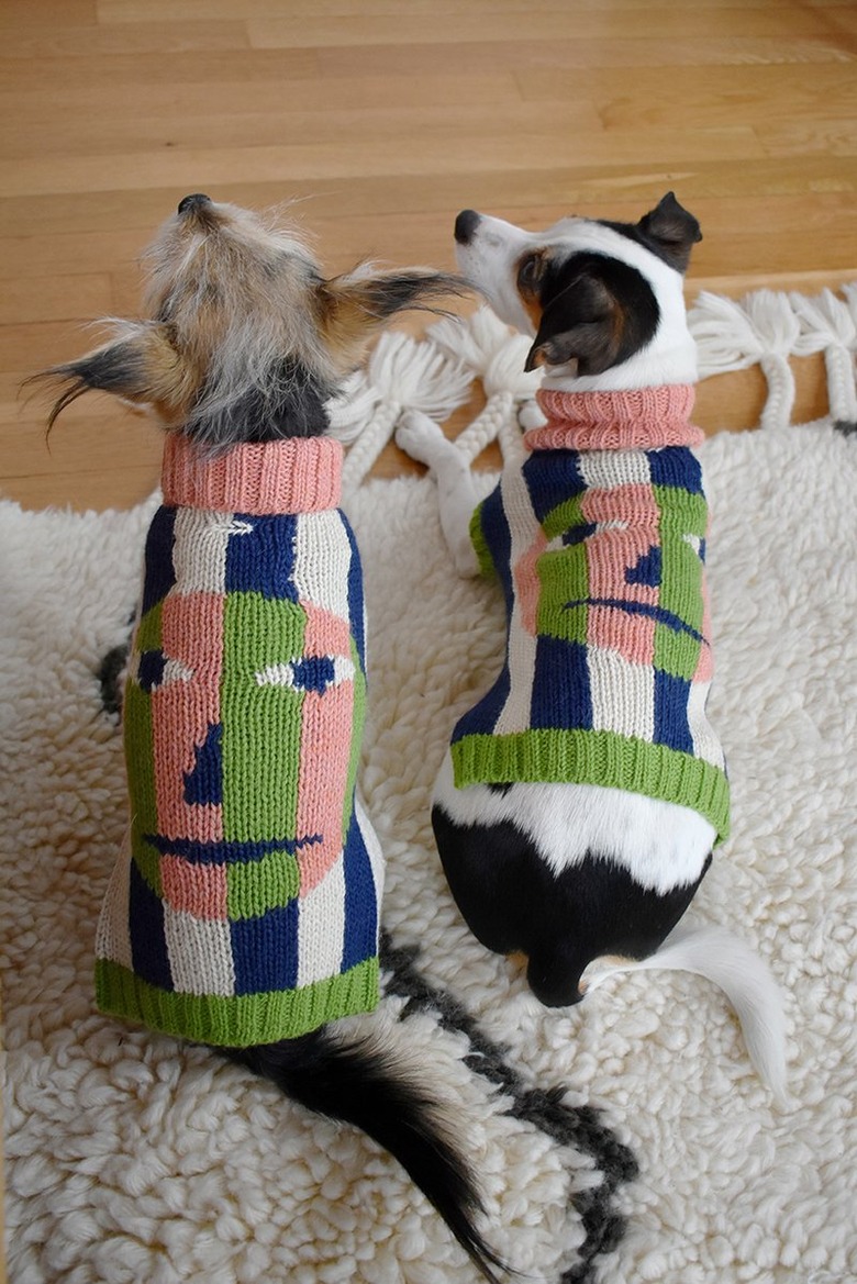 two dogs wearing matching sweaters with faces