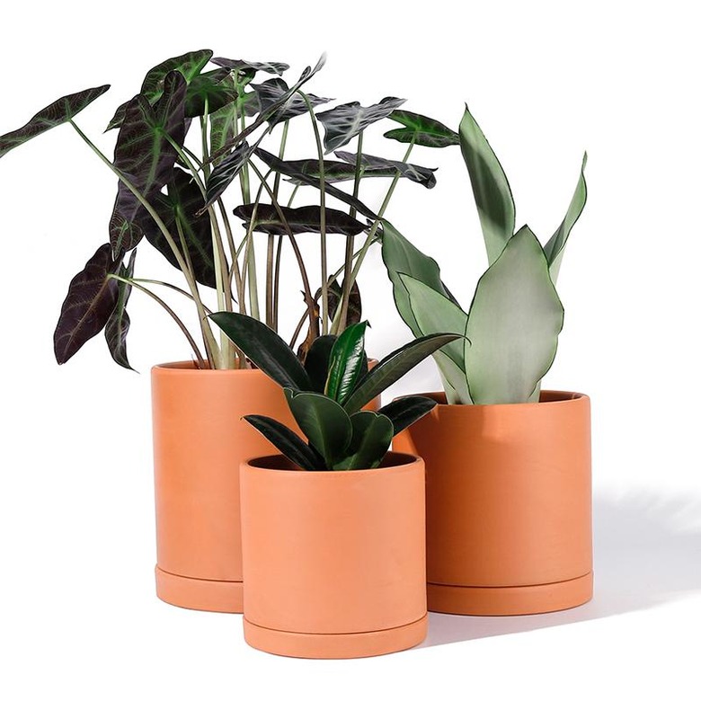 three Terracotta Cylinder Planters