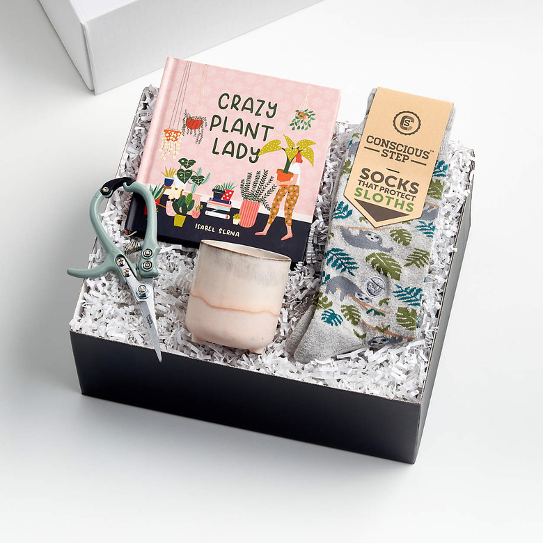 box with plant-related things like a book and socks