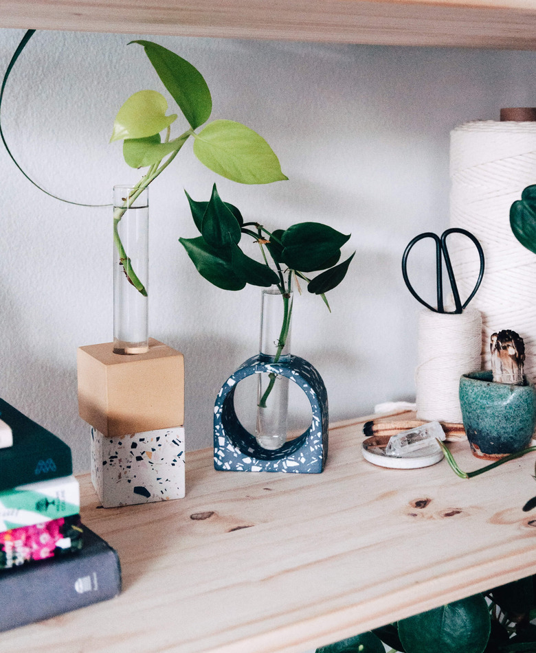 shelf with plants in propagations vases